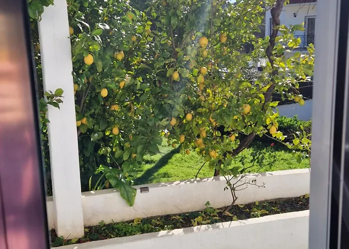 Casa Dos Martelitos Prázdninový dům *